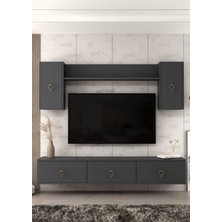 Demonte Decor 1343TV180-1CDD Duvara Montaj Tv Ünitesi , Tv Sehpası Antrasit-Altın