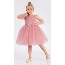 Mnk Baby & Kids Kanatlı Kız Çocuk Şifon Kol Abiye Pembe Özel Günler İçin Şık Tasarım MNK0534