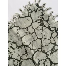 Fureya Püsküllü Mermer Desen Tülbent Yazma