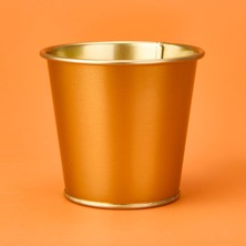 Evstyle Paslanmaz Saksı - Gold - 12X10 cm