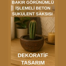 Bakır Görünümlü Işlemeli Beton Sukulent Saksısı | Dekoratif Tasarım