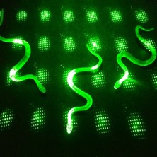 HypAirs Yılan Kırkayak Şaka Oyuncağı 36 Adet