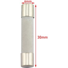 Labshop41 Seramik Sigorta 5.0A 250V (6X30MM) Gecikmeli x 1 Adet  (RF104)