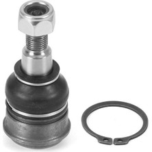 Ayd 06121 - Alt Rotil Jazz 00