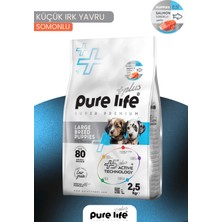 Pure Life Plus Somonlu Büyük Irk Yavru Köpek Maması 2,5 kg