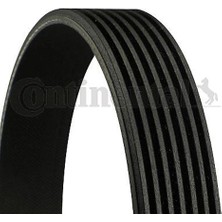 Rose Bmw E34 E38 M60 Kayış Devirdaim - - CNT_7PK1605