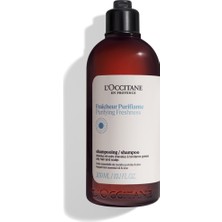 L'Occitane Yağlı Saç Tileri Için Derinlemesine Temilzeyici,arındırıcı ve Canlandırıcı Şampuan 300 ml