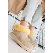 Erbilden Abby Bej Süet Bot