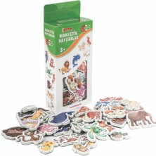 Kiddico Toys Dıytoy Manyetik Hayvanlar
