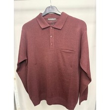 Woolen World Polo Yaka Erkek Kazak