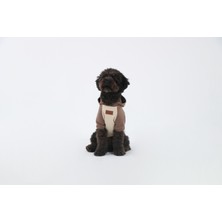Iki Renkli Hoodie(Köpek Kıyafeti)