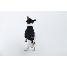 Retro Hoodie (Köpek Kıyafeti)