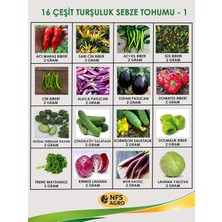 Nfs Agro -Turşuluk Sebze Tohum Paketi - 16 Çeşit