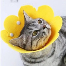 Datatek Evcil Hayvan M Boy Keçe Elizabeth Yakalığı