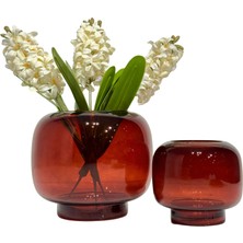 Lara Decor - Ikili Kehribar Vazo Seti