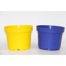 Tunç Botanik SARI LACİVERT SAKSI SETİ - 2 RENK 10 SAKSI