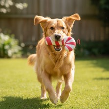Bsre Baston Şeker Figürlü Oyuncak - Sesli