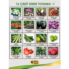 Nfs Agro Sebze Tohum Paketi 1 - 16 Çeşit