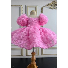 Miço Kids Kız Bebek Prenses Elbisesi Kabartmalı Gül Detaylı