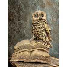 İki Cadı Tasarım Kitaplı Baykuş Kitap Tutucu Polyester Obje
