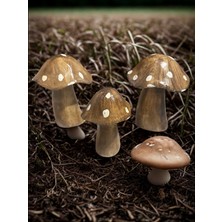 İki Cadı Tasarım Dekoratif Mantar Puantiyeli 3'lü Set Polyester Obje