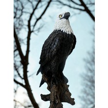 İki Cadı Tasarım Dev Kartal Dekoratif Obje, Heykel, Kartal Büstü, Ev ve Bahçe Dekoru