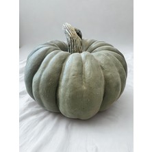 İki Cadı Tasarım Kabak Yuvarlak Dev Boy Polyester Ev ve Bahçe Dekoru, Dekoratif Obje