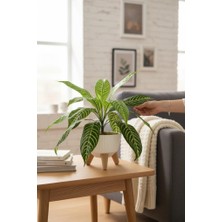 Nettenevime Yapay Çiçek Drecana Yukka 18 Yapraklı Salon Çiçeği Zigon Saksıda Yapay Bitki