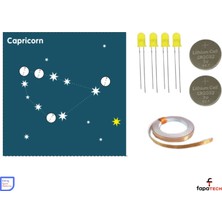 Eding Zodyak Takım Yıldızı Astroloji Capricorn Oğlak Burcu Kağıt Devre Kiti - Bakır Iletken Bant ,CR2032