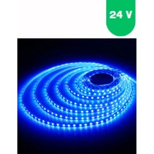 Powerr Led Aydınlatma 24 Volt 5050 Smd Mavi Dış Mekan 60 Ledli 5 Metre Şerit LED