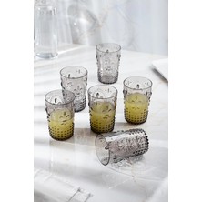Depa Akrilik Füme 6'lı Kısa Bardak & Su Meşrubat Kahve Yanı Bardağı 400 ml ( Cam Değildir )