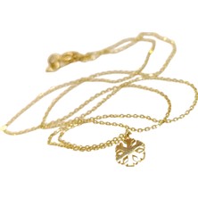 Genel Kar Tanesi Kolye 14 Ayar Altın Hd Videolu