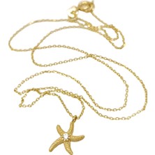 Genel Deniz Yıldızı Kolye 14 Ayar Altın  Hd Videolu