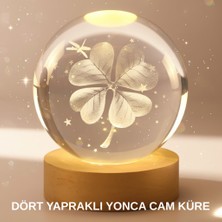 SHN Bitki Temalı LED Işıklı Cam Küre Ahşap Standlı Modern Gece Lambası