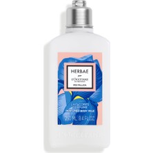 L'Occitane Herbae Iris Pallida Body Milk - Smoothıng Herbae Iris Body Lotion - 250 ml