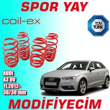 Modifiyecim Audi A3 8V 2012 Sonrası 30-30MM Coil-Ex Spor Yay Helezon