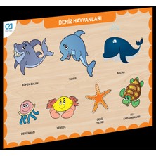 CAAHS-3212 Sinerjim Ahşap Deniz Hayvanları Bul-Tak