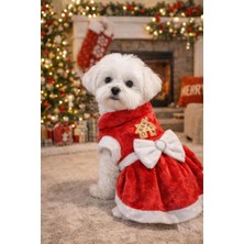 Gedyco Cookie House Küçük Irk Köpek Peluş Yılbaşı Elbisesi