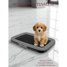 Feyza Design Elektronik Akıllı Kedi ve Köpek Tuvaleti, Kolay Temizlik ve Konfor