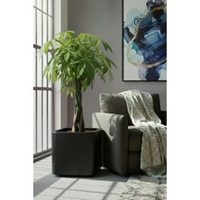 DEQQU Aura Softbox 30X35CM Fiber Soft-Küp Saksı - Mat - Büyük Saksı - Fiberglass Saksı