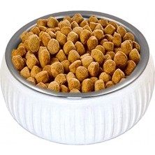 Marsilyan Mikopet Organik Seramik Mama Kabı Beyaz