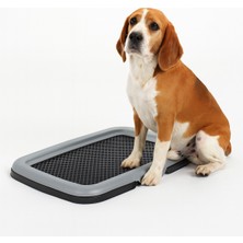 Feyza Design Çiftli Akıllı Kedi ve Köpek Tuvalet, Temiz ve Pratik Kullanım