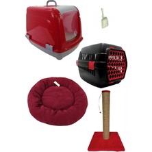 Feyza Design Kedi Başlangıç Seti: Tuvalet, Tırmalama, Yatak ve Taşıma Aksesuarları