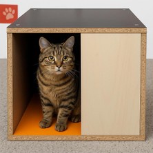 Feyza Design Dış Mekan Dayanıklı Kedi Evi, Sağlam ve Konforlu Tasarım