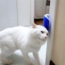 Feyza Design Pratik Duvara Monte Kedi Tüyü Tarama ve Kaşıma Aleti