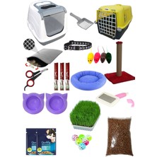 Feyza Design 24 Parça Kedi Başlangıç Seti – Premium Kalite, Eğlence ve Öğrenme