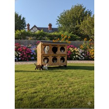 Feyza Design 6 Kişilik 2 Katlı Kedi Evi, Yalıtımlı, Şık ve Konforlu Tasarım