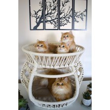 Feyza Design Krem Rengi Çift Katlı Konforlu Kedi Yatağı