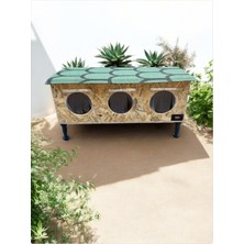 Feyza Design Yetişkin Kediler Için Isı ve Su Yalıtımlı Ayaklı Kedi Evi, Rahat ve Güvenli Kullanım