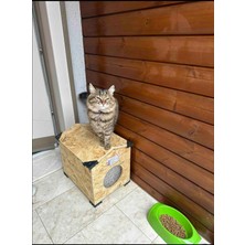 Feyza Design Suya ve Soğuğa Dayanıklı Dış Mekan Kedi Yuvası, Montajlı ve Şık Tasarım